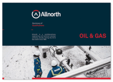 巴西allnorth服务咨询公司品牌设计咨询策划方案